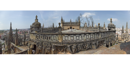 Cathedral Roofs