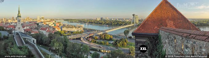 I7080008. Town, Danube river and bridges aerial view, Bratislava (Slovakia)