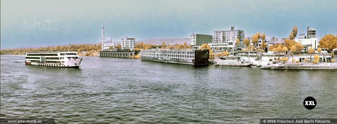PA7R459404. River Nile at Aswan city. Colour infrared  (Egypt)