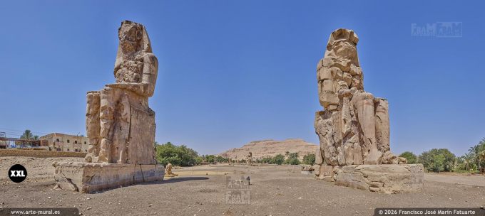 PRF6399107. The Colossi of Memnon, Luxor  (Egypt)