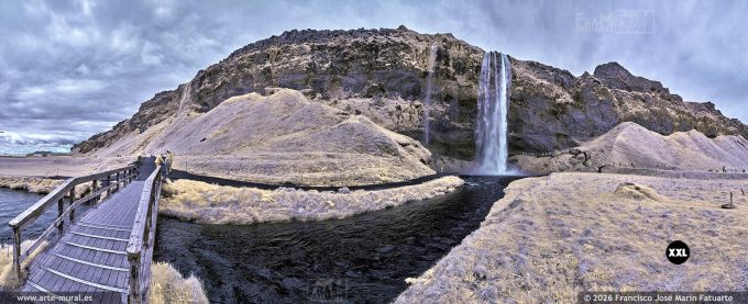 QA7R496208. Seljalandsfoss waterfall, South Region (Iceland)