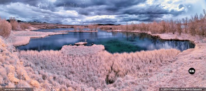 QA7R575605. Þingvallavatn lakel, South Region (Iceland)