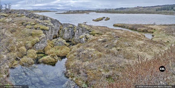 QF6953305. Þingvallavatn lake, South Region (Iceland)