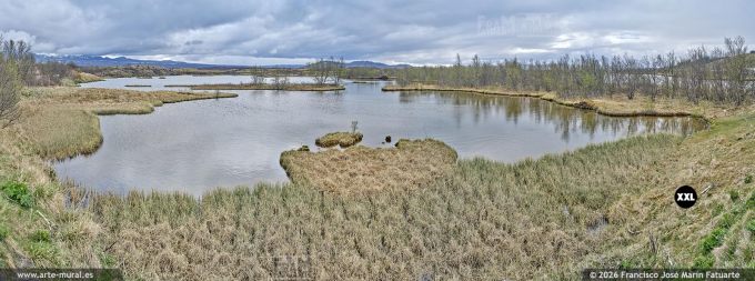 QF6955608. Þingvallavatn lake, South Region (Iceland)