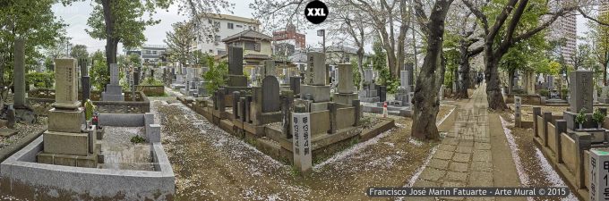 F2600603. Cementerio en Yanaka. Tokyo (Japón)