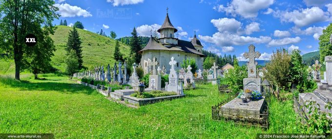 OF4560403. Aratarea Domnului Church and cemetery, Sucevita (Romania)