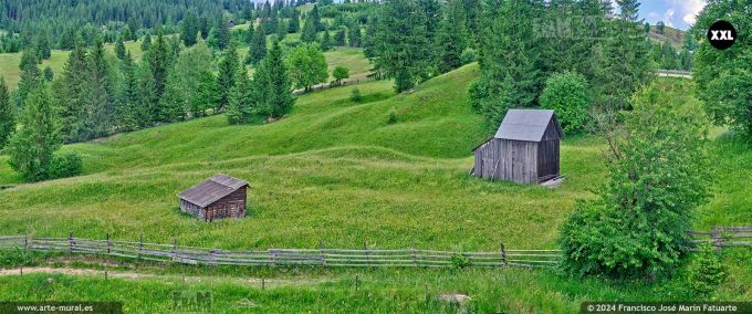 OF4601507. Spring landscape in Bucovina near Sadova (Romania)