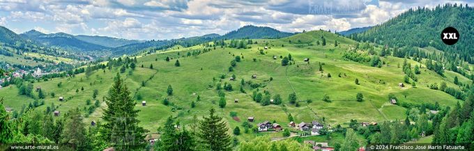 OF4604704. Mountain landscape in Bucovina near Sadova (Romania