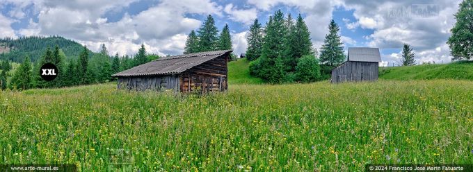 OF4609104. Spring landscape in Bucovina near Sadova (Romania)