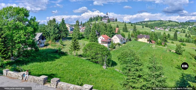 OF4615802. Tihuța Pass (Borgo Pass) with Piatra Fântânele Monastery in the background (Romania)