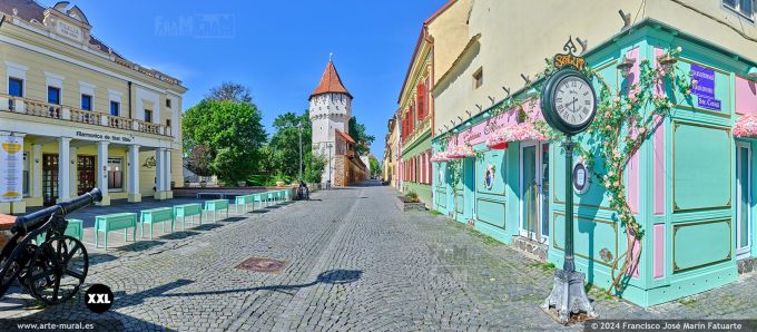 OF4690305. Cetatil street and Harquebusiers Tower, Sibiu (Romania)