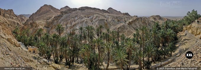 P5479808. Mountain oasis of Chebika (Tunisia)