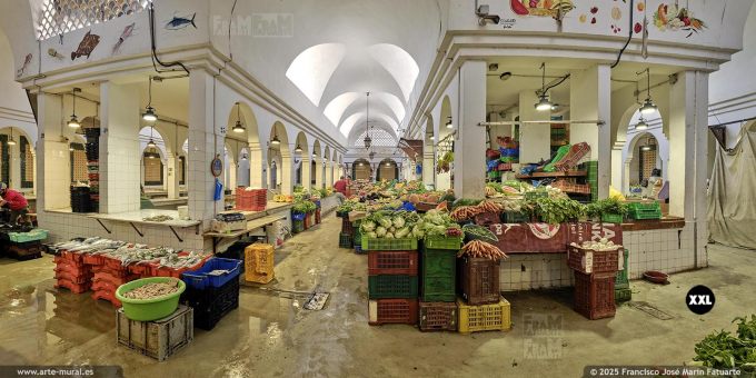 P5600103. Fish market in the old city, Sousse (Tunisia)