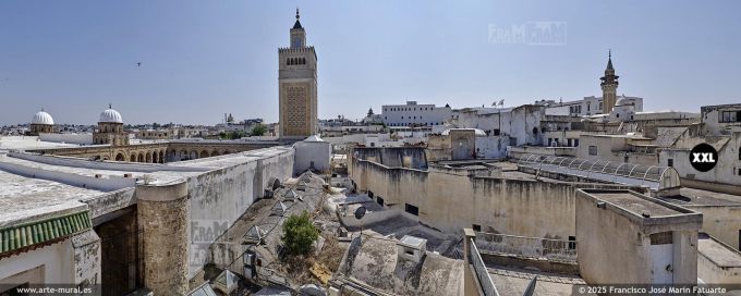 P5639605. Al-Zaytuna Mosque and skyline of the Medina in Tunis, Tunisia
