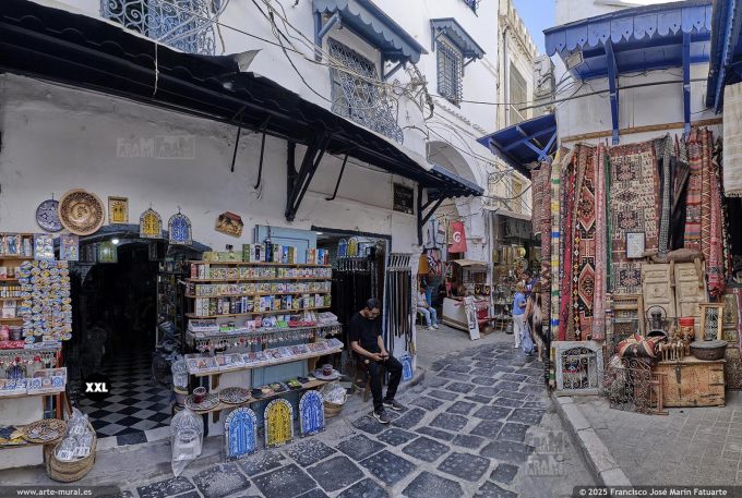 P5642404. Tunisia city medina (Tunisia)