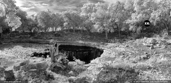 NA209802. Cenote of Dzibilchaltun (infrared)