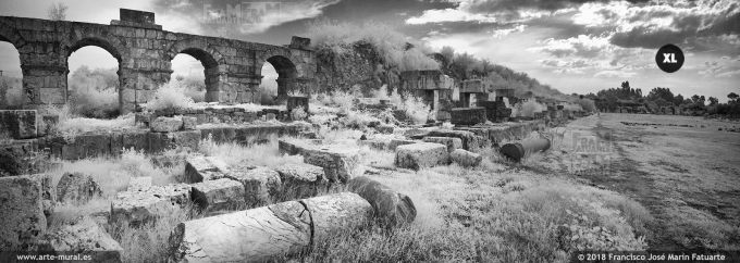 IS019493. Roman Hippodrome ruins. Tyre, Lebanon