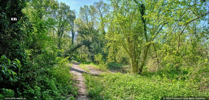 OF4134604. Isonzo Nature Park of Campagnuzza - Sant'Andrea, Gorizia (Italy)